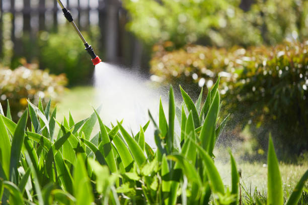 24/7 Emergency Mosquito Control experts in Deephaven, MN